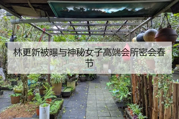 林更新被曝与神秘女子高端会所密会春节